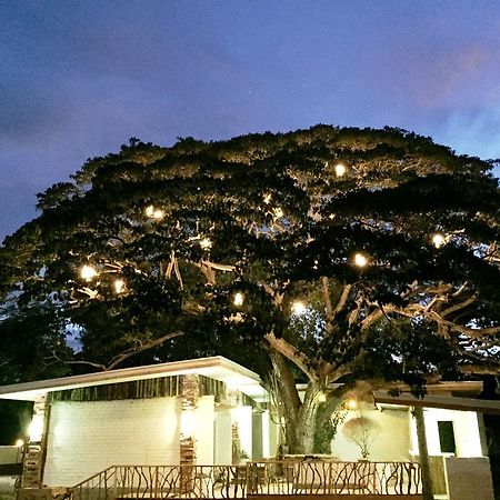 Serviced Apartments By Eco Hotel Bohol Panglao-stad Buitenkant foto
