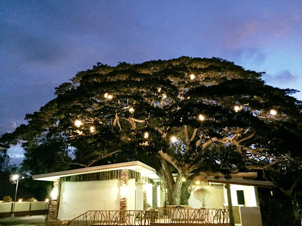 Serviced Apartments By Eco Hotel Bohol Panglao-stad Buitenkant foto